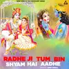 About RADHE JI TUM BIN SHYAM HAI AADHE Song